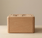 Wooden Shape Sorter Box